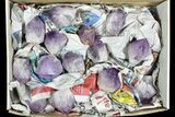 Lot: Lbs Amethyst Crystals () - Brazil #77855-1